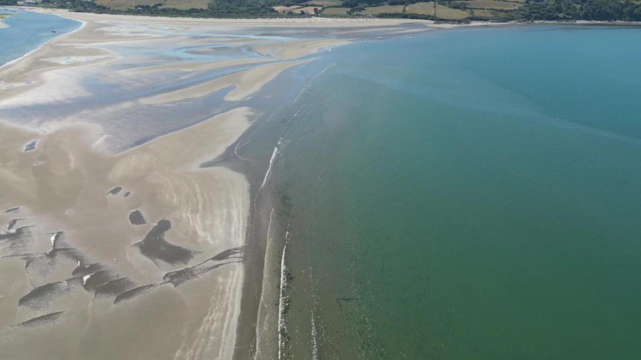 Llety Teifi Guest House Cardigan Eksteriør bilde